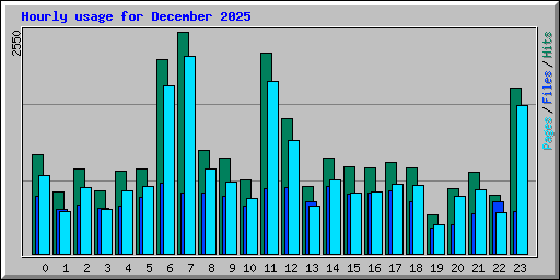 Hourly usage for December 2025