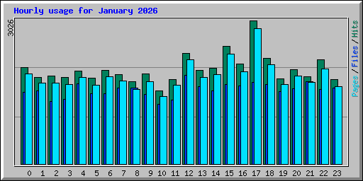 Hourly usage for January 2026